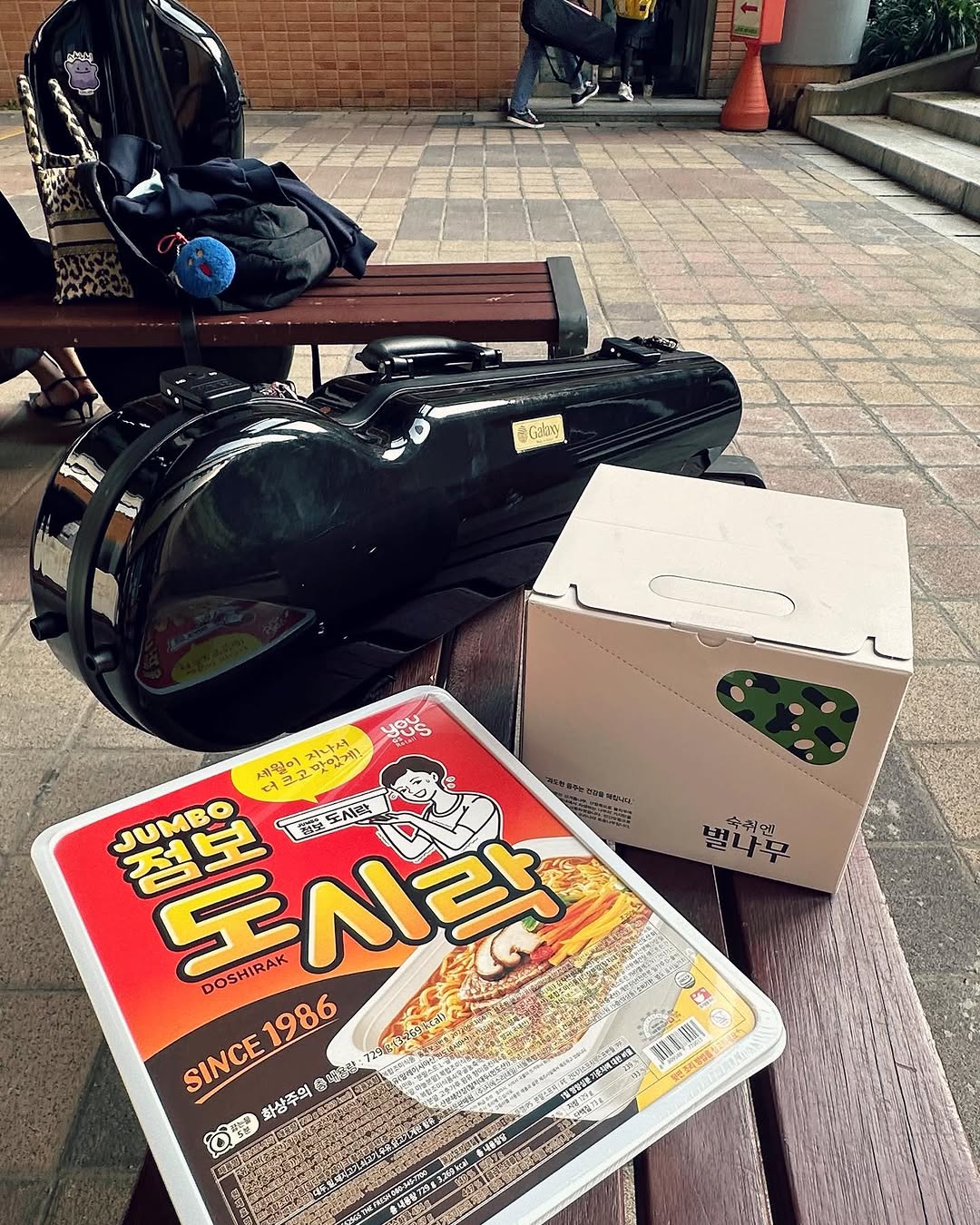 @dasomyoo_이 올린 숙취엔벌나무 태그 게시물