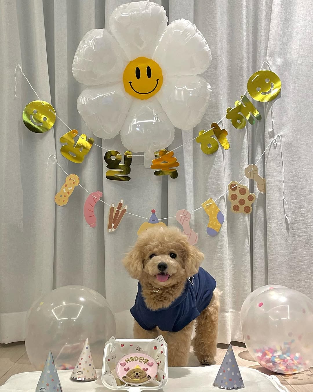 @but.t0n이 올린 화정동 속눈썹 태그 게시물