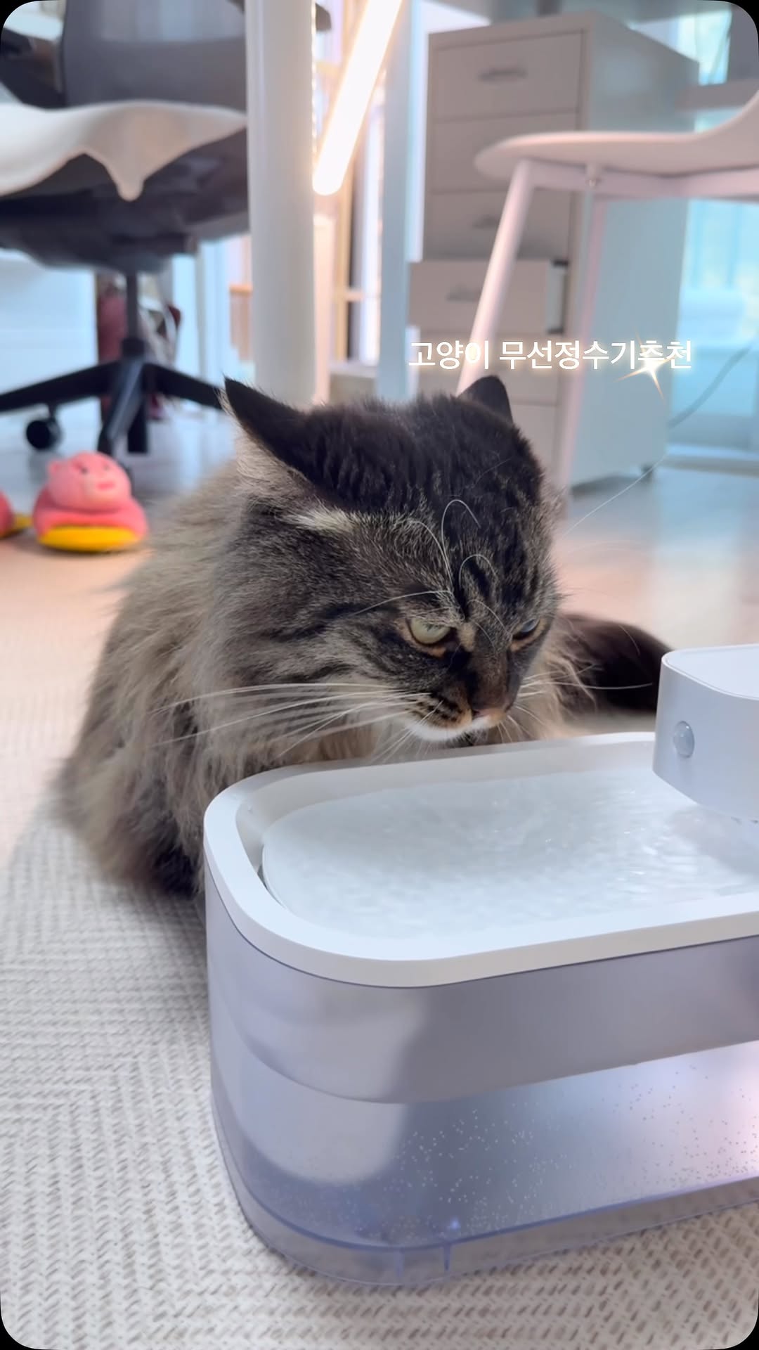 @dalnaradongsookine이 올린 닉센 태그 게시물