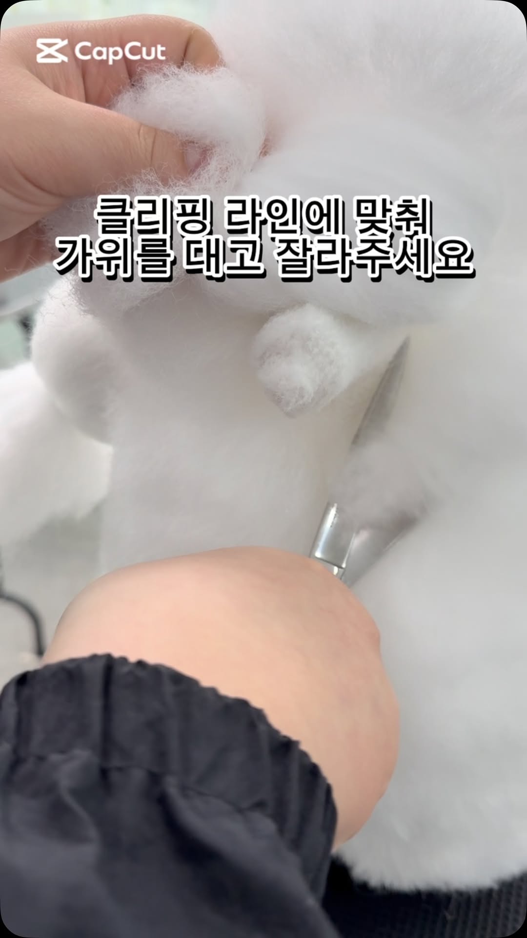 @topdogs_ansan이 올린 닉센 태그 게시물