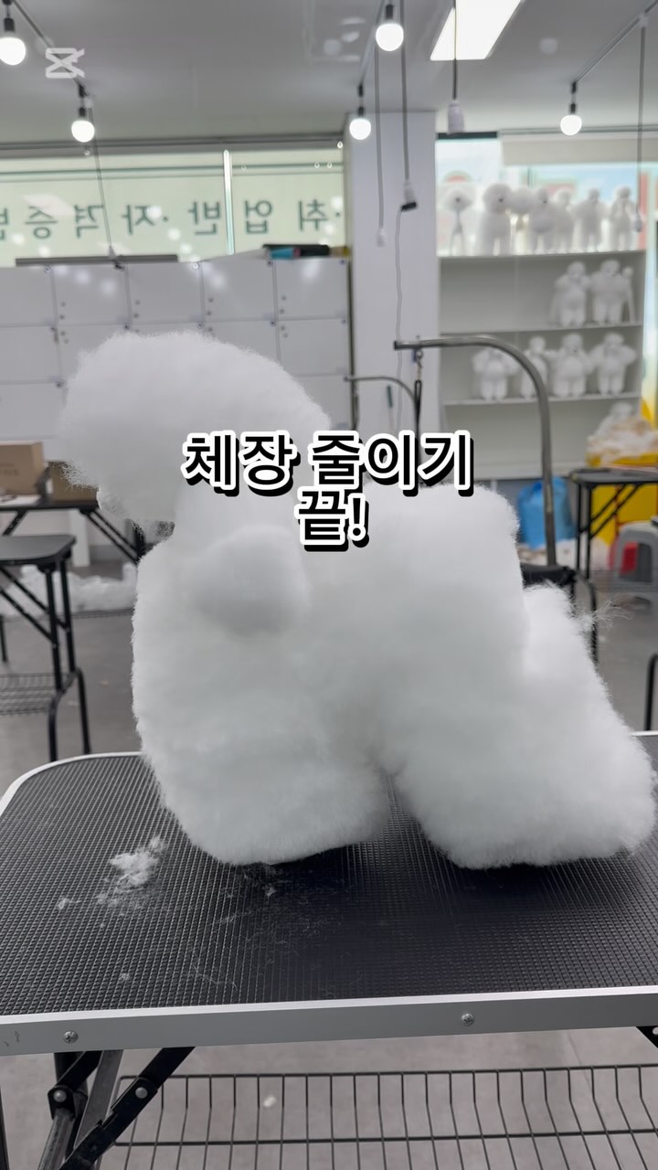 @topdogs_ansan이 올린 닉센 태그 게시물