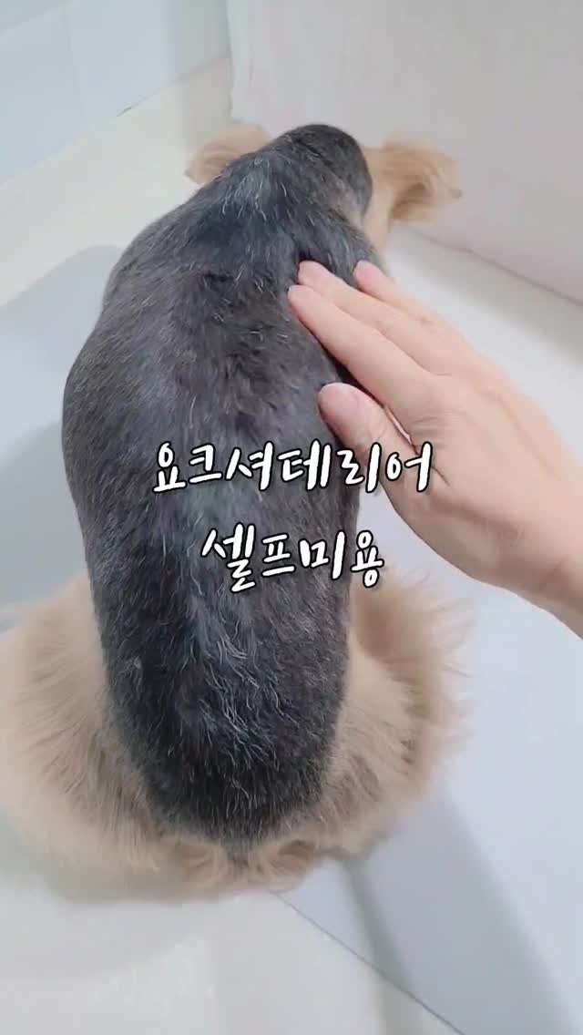 @09ggongii_ne이 올린 닉센 태그 게시물