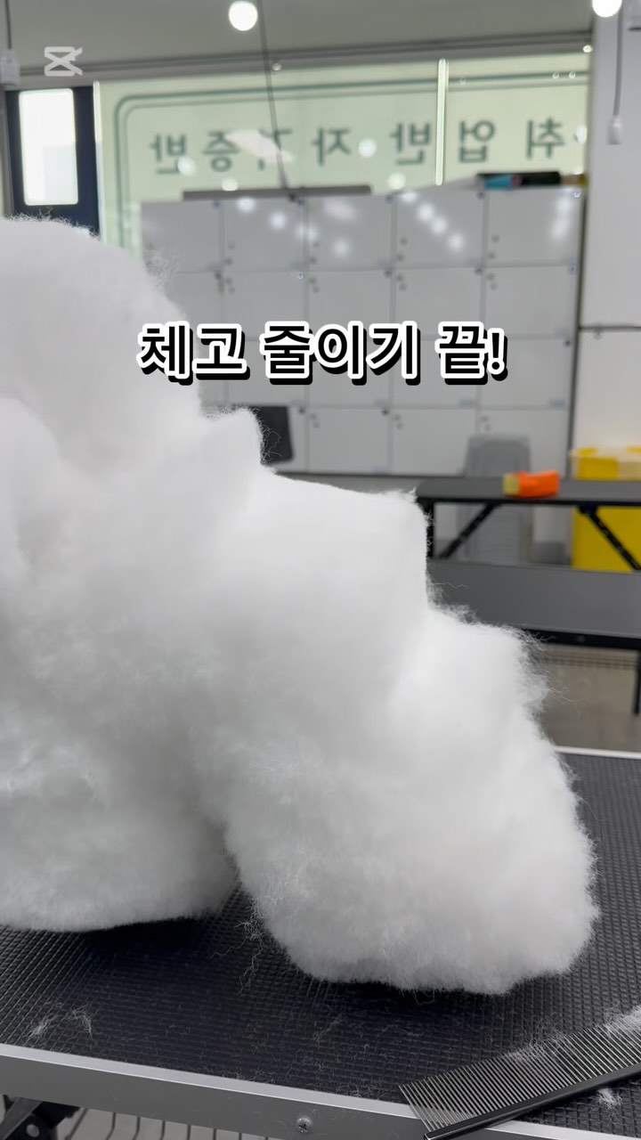 @topdogs_ansan이 올린 닉센 태그 게시물