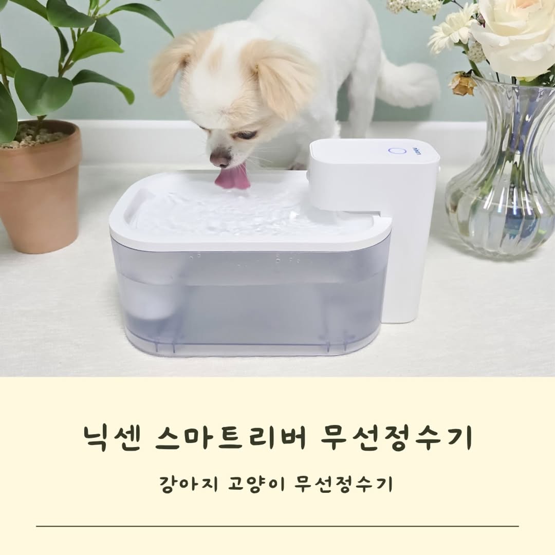@arpo_julmin이 올린 닉센 태그 게시물