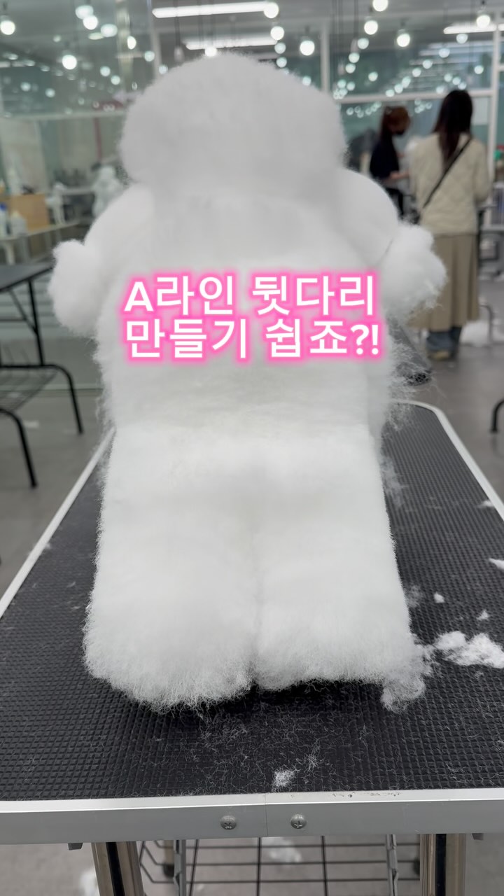 @topdogs_ansan이 올린 닉센 태그 게시물