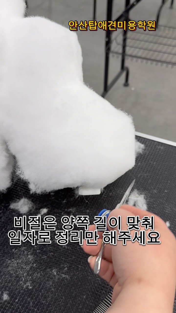 @topdogs_ansan이 올린 닉센 태그 게시물