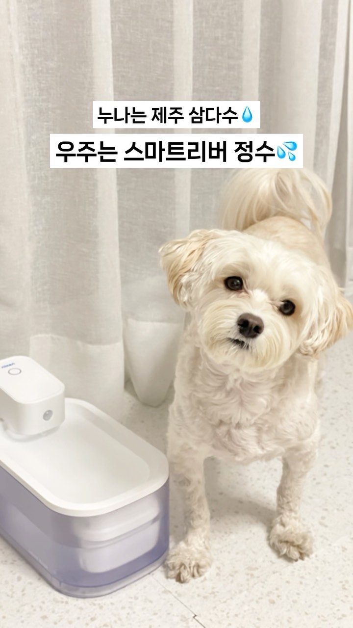 @xcara27x이 올린 닉센 태그 게시물