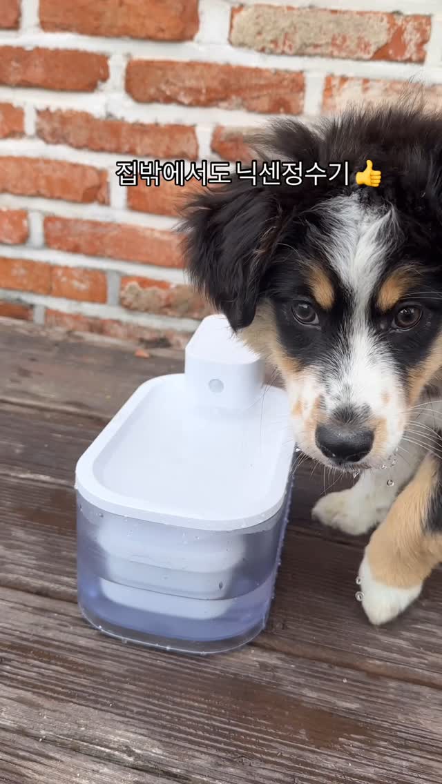 @my_chuvely이 올린 닉센 태그 게시물