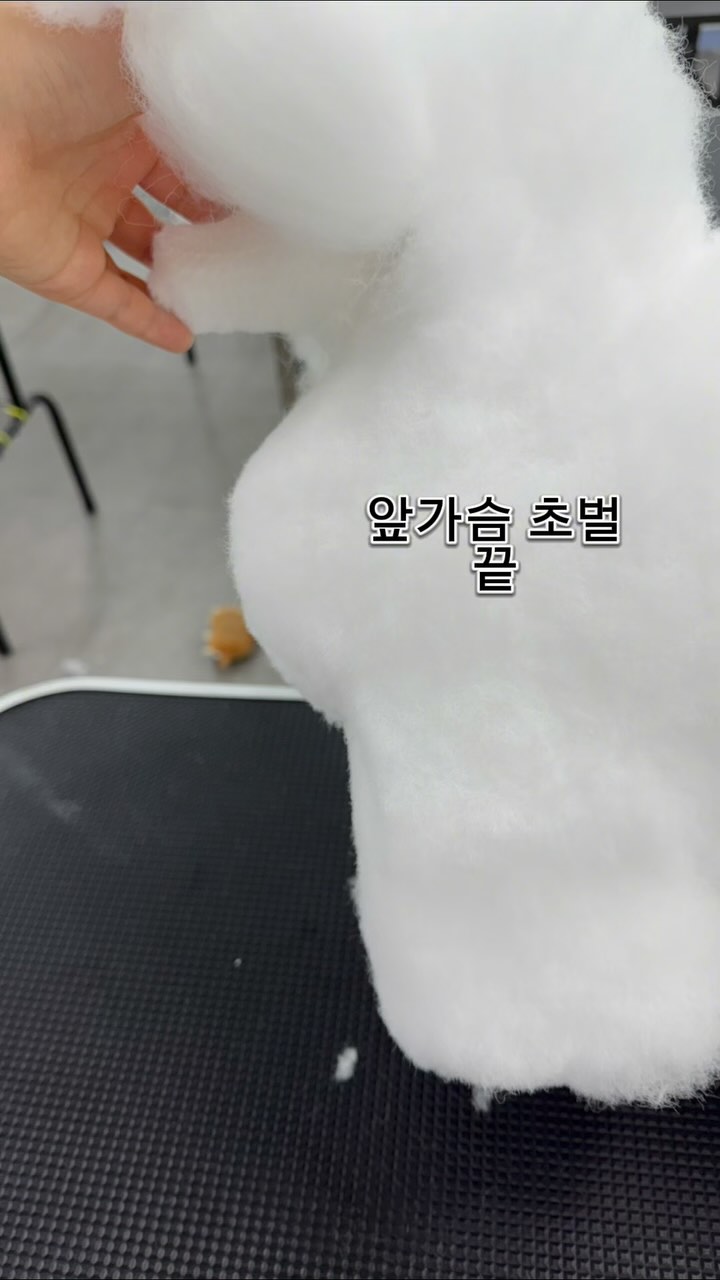 @topdogs_ansan이 올린 닉센 태그 게시물