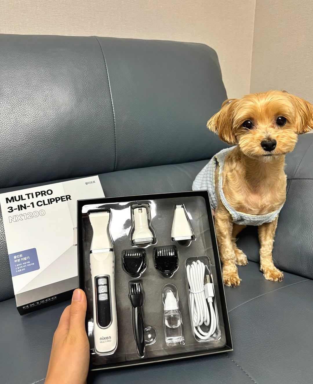 @lip_bbam이 올린 닉센 태그 게시물
