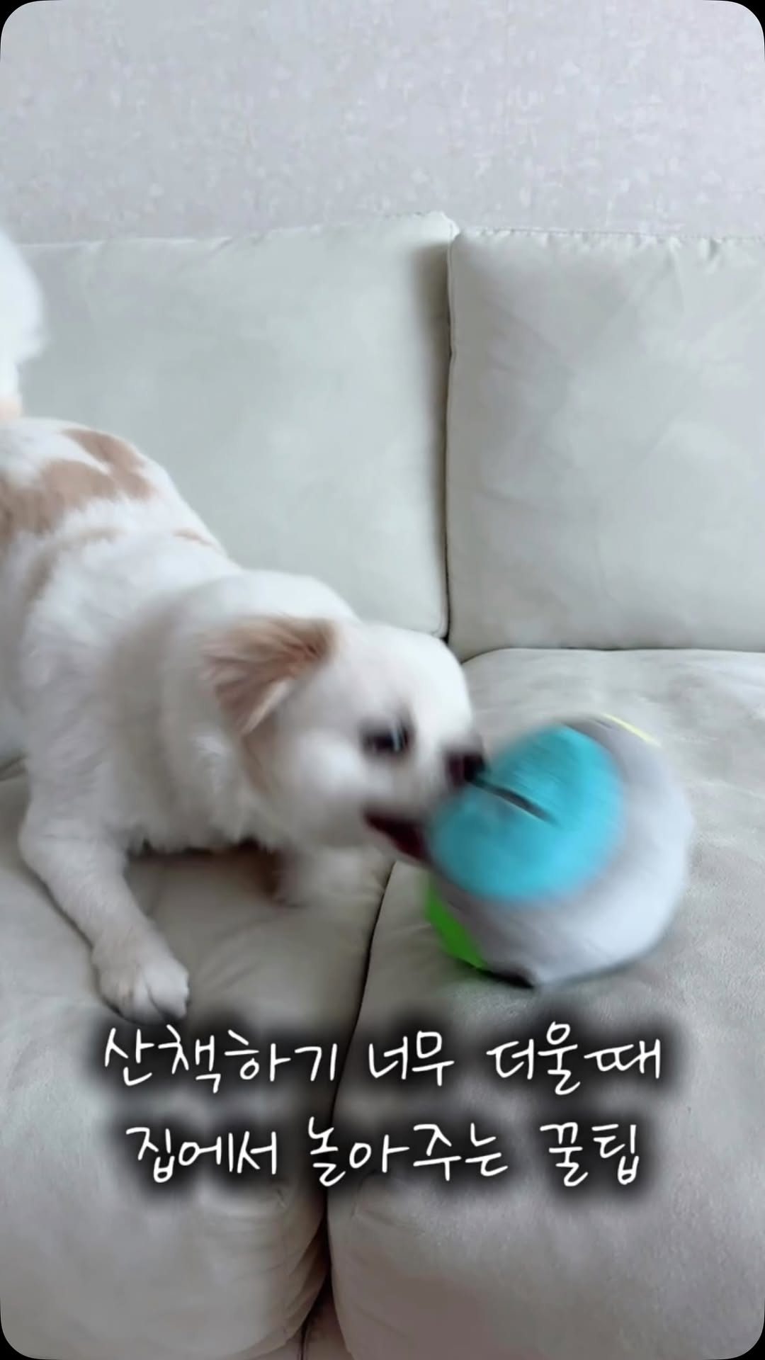 @sangzzziii이 올린 로 희 ෆ 태그 게시물