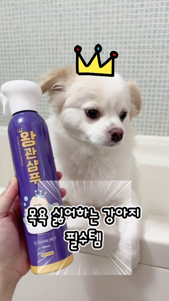 @sangzzziii이 올린 로 희 ෆ 태그 게시물