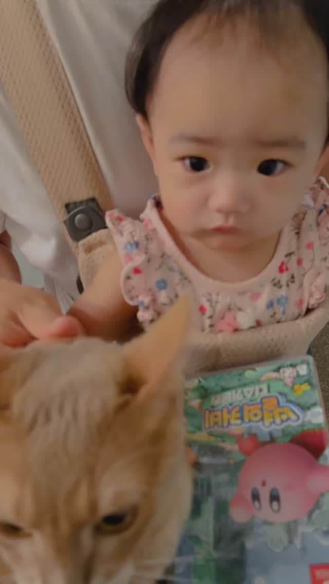 @_geonupark이 올린 제레박 | 제레의 뚝섬살이 태그 게시물
