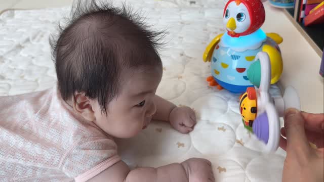 @lovelyty.mom이 올린 보리보리-No.1 유아동 쇼핑플랫폼 태그 게시물