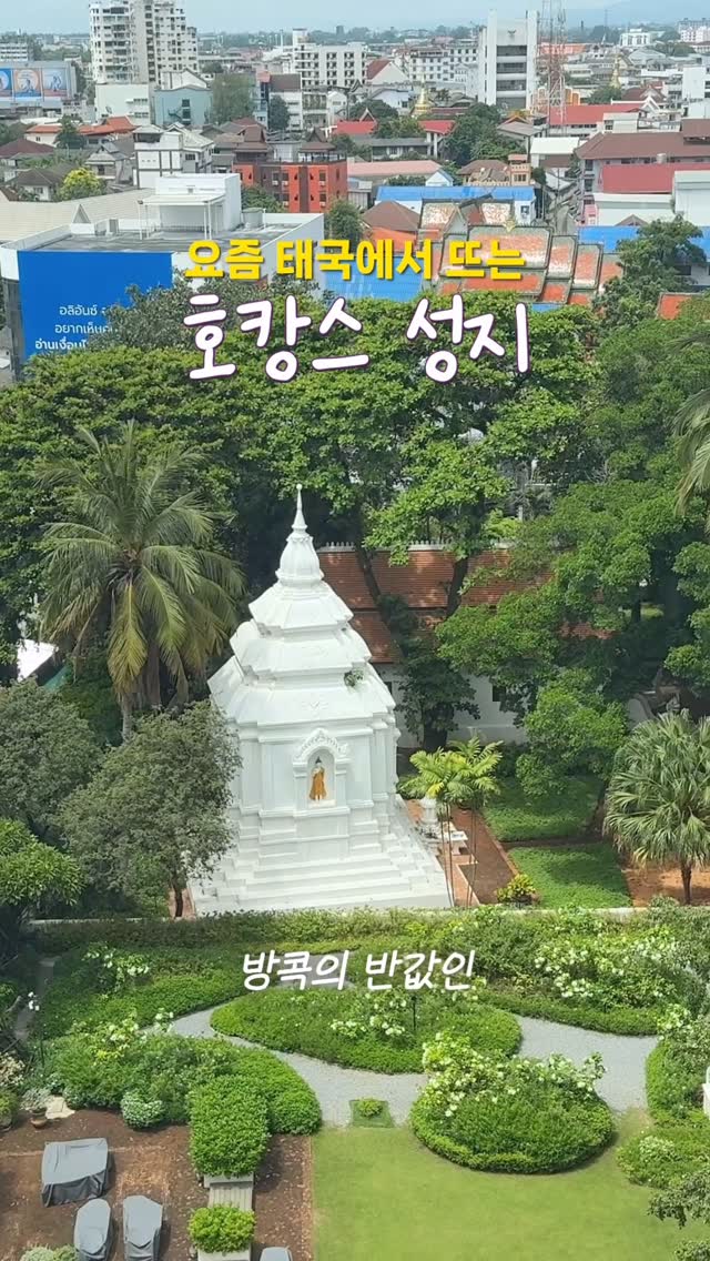 @tel.stay이 올린 몽키트래블 태그 게시물