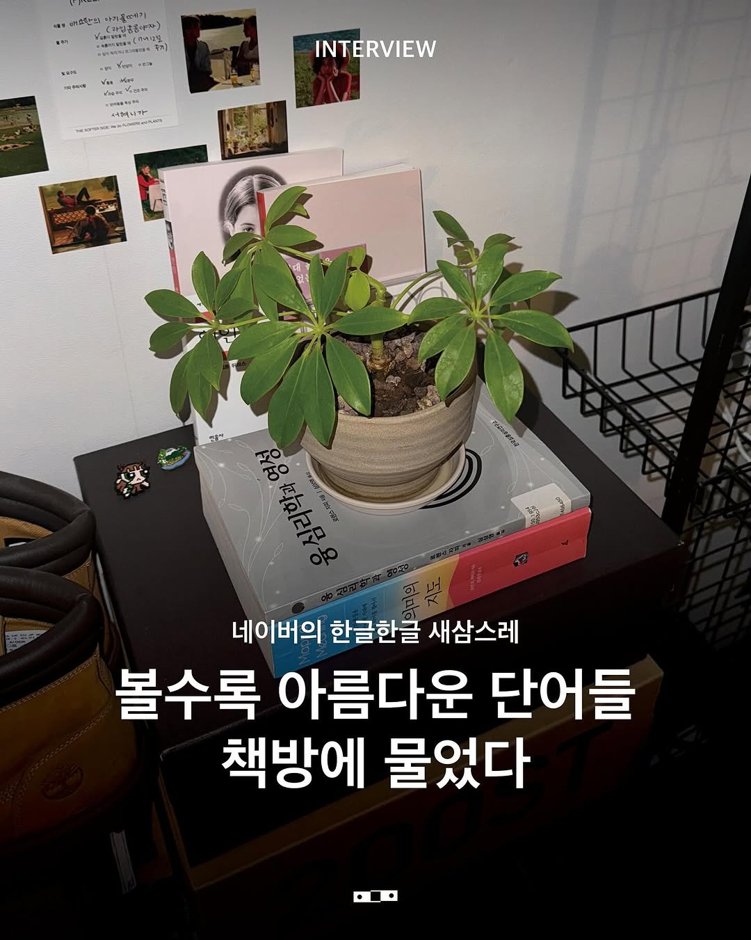 @ourexpresso이 올린 네이버 태그 게시물