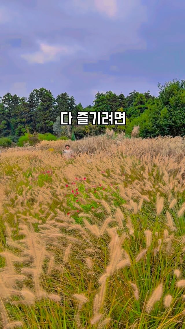 @jeju._.blossom이 올린 플랜트827 태그 게시물