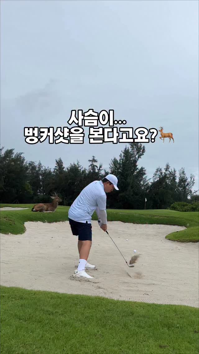 @ssomcllory_golf이 올린 몽키트래블 태그 게시물