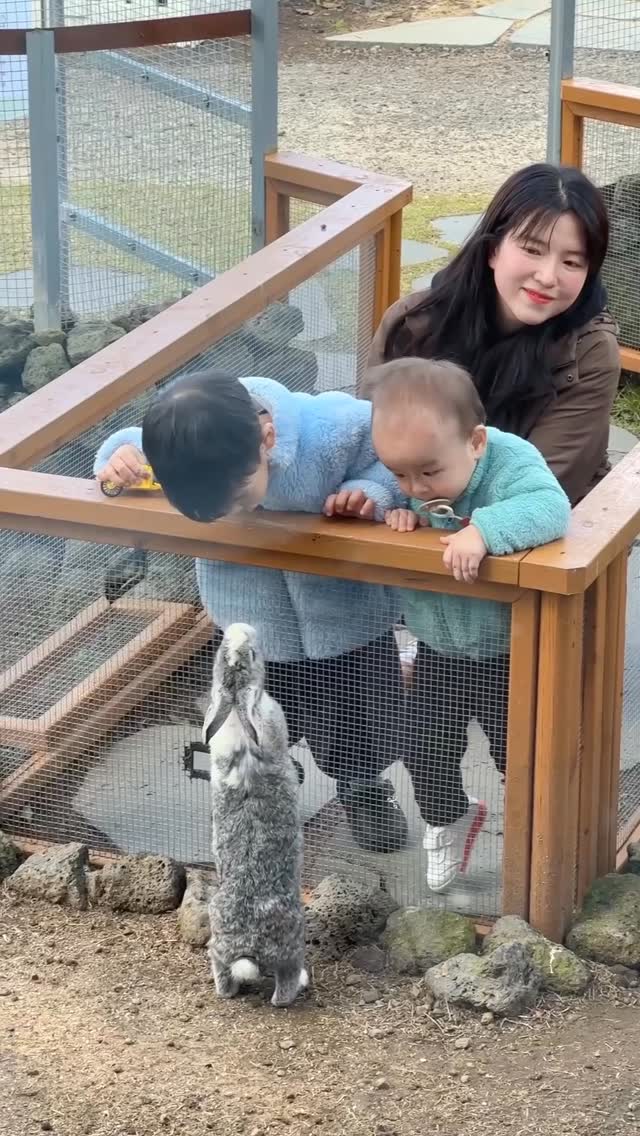 @iamhyesun2이 올린 플랜트827 태그 게시물