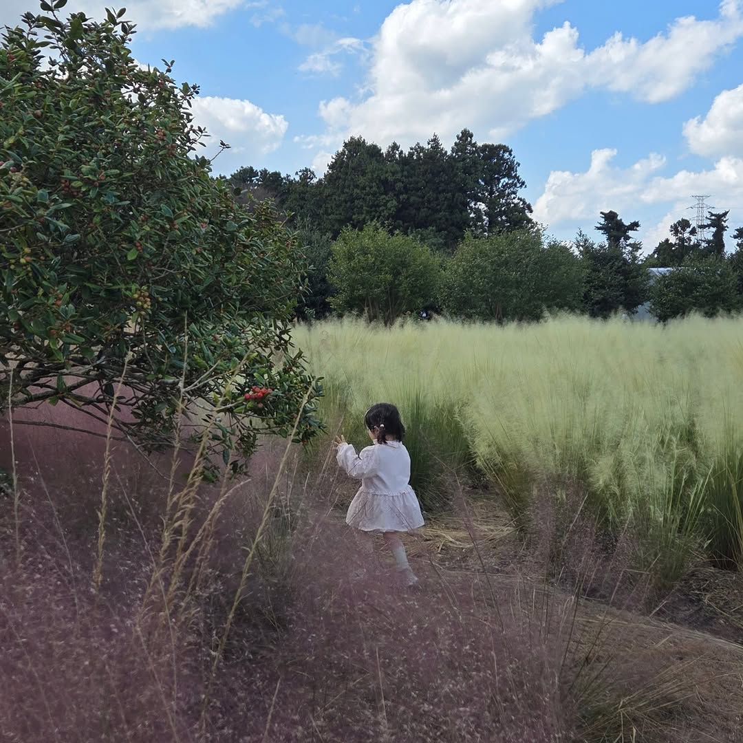 @sirong85이 올린 플랜트827 태그 게시물