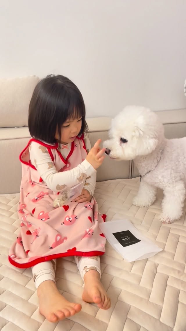 @mozzi_doggy이 올린 펫만찬 태그 게시물