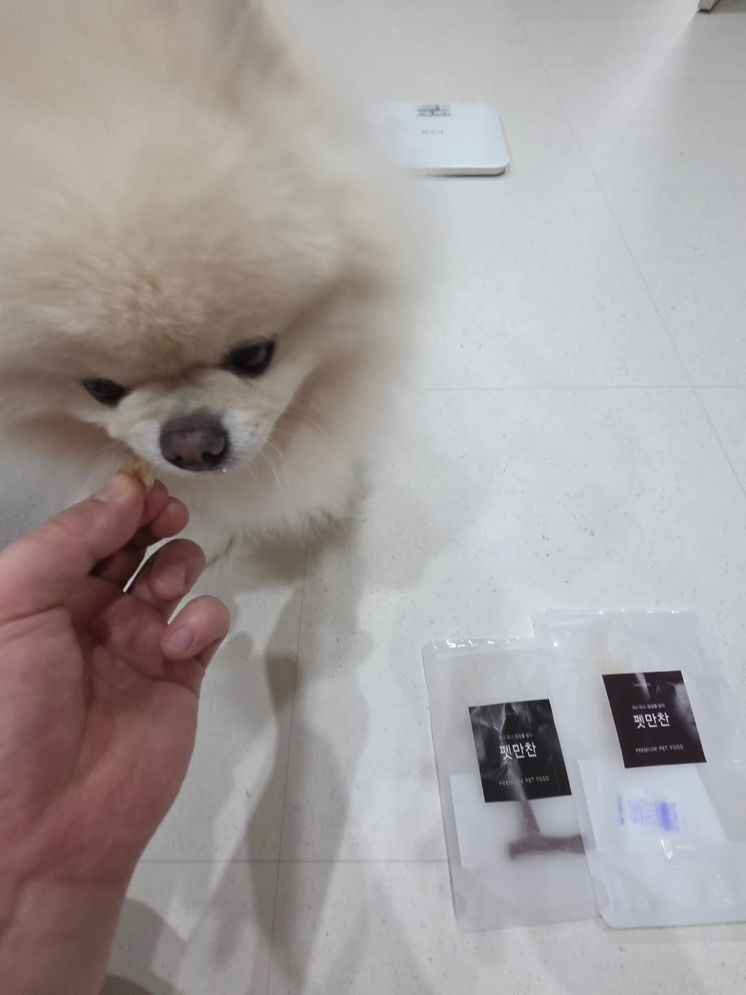 @0923mozzi이 올린 펫만찬 태그 게시물