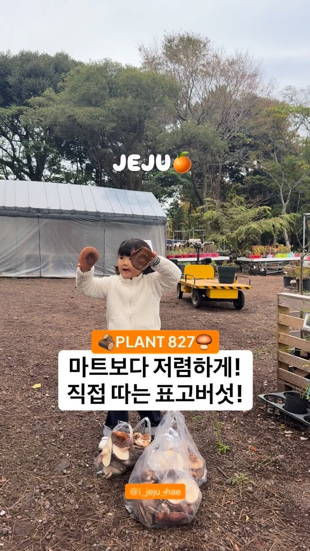 @i_jeju_hae이 올린 플랜트827 태그 게시물