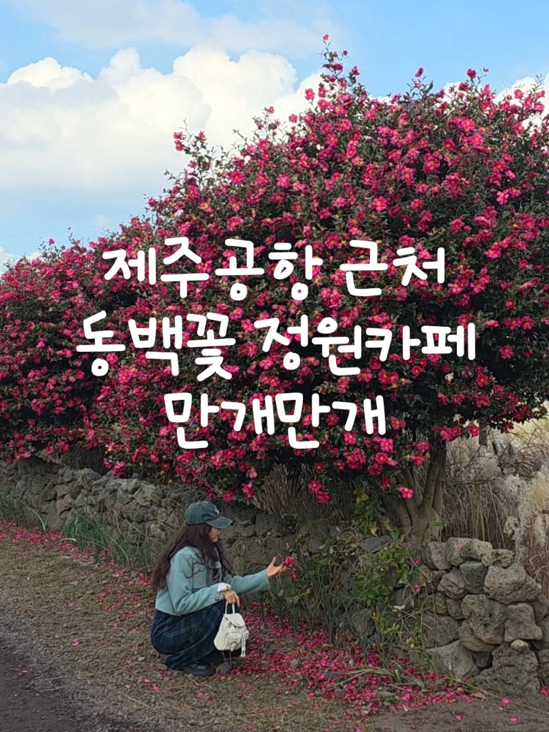 @only_chavely이 올린 플랜트827 태그 게시물