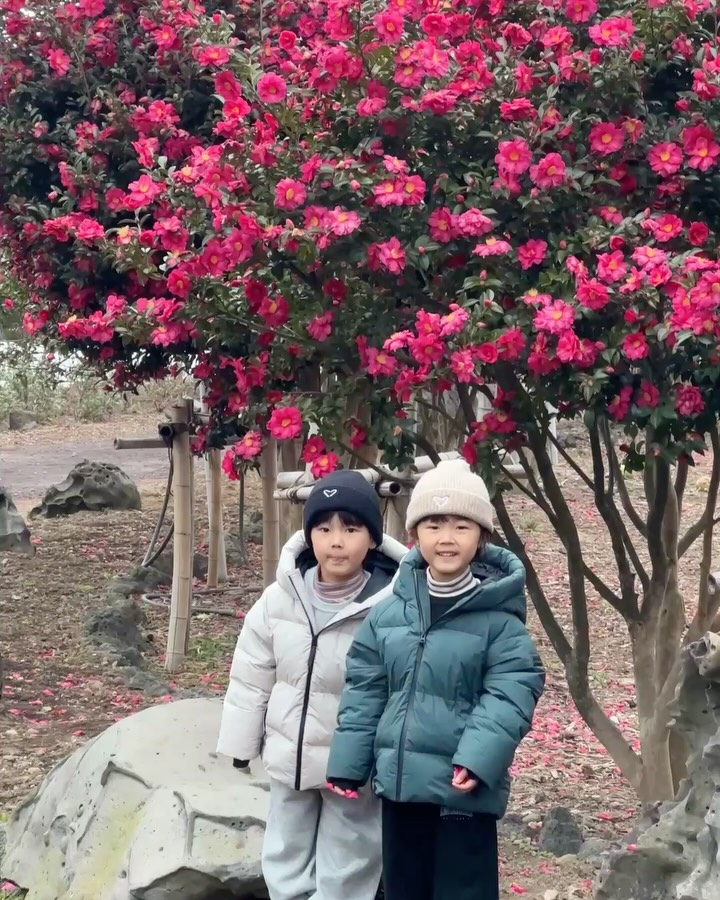 @with_yoonyoo이 올린 플랜트827 태그 게시물