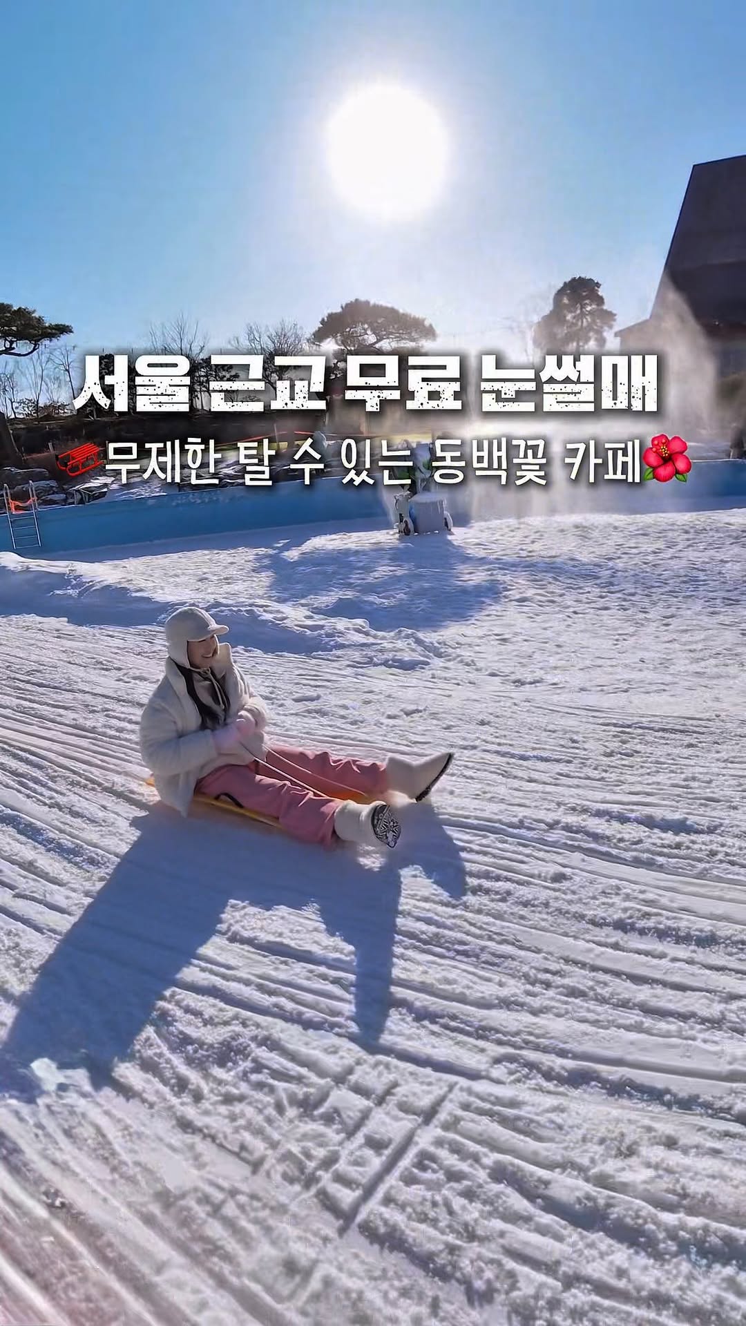 @anotherdoor_travel이 올린 동백온실 태그 게시물