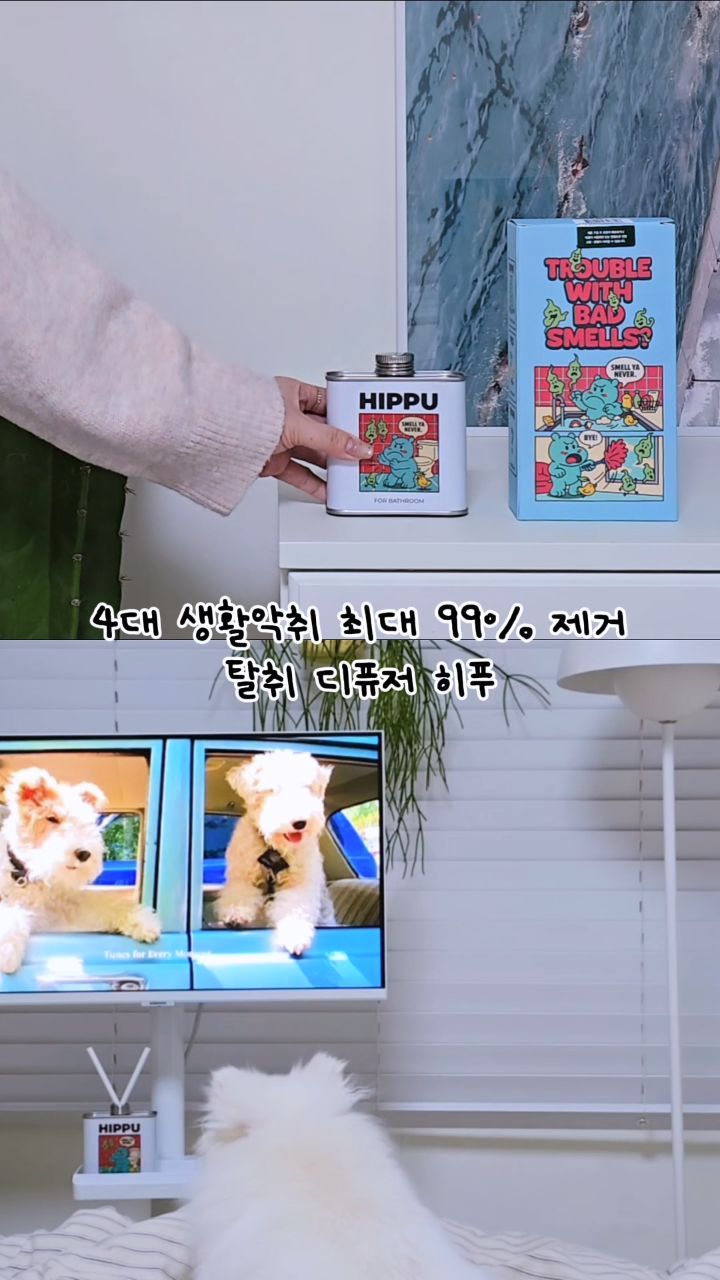 @_rudymellow이 올린 허프퍼프 태그 게시물