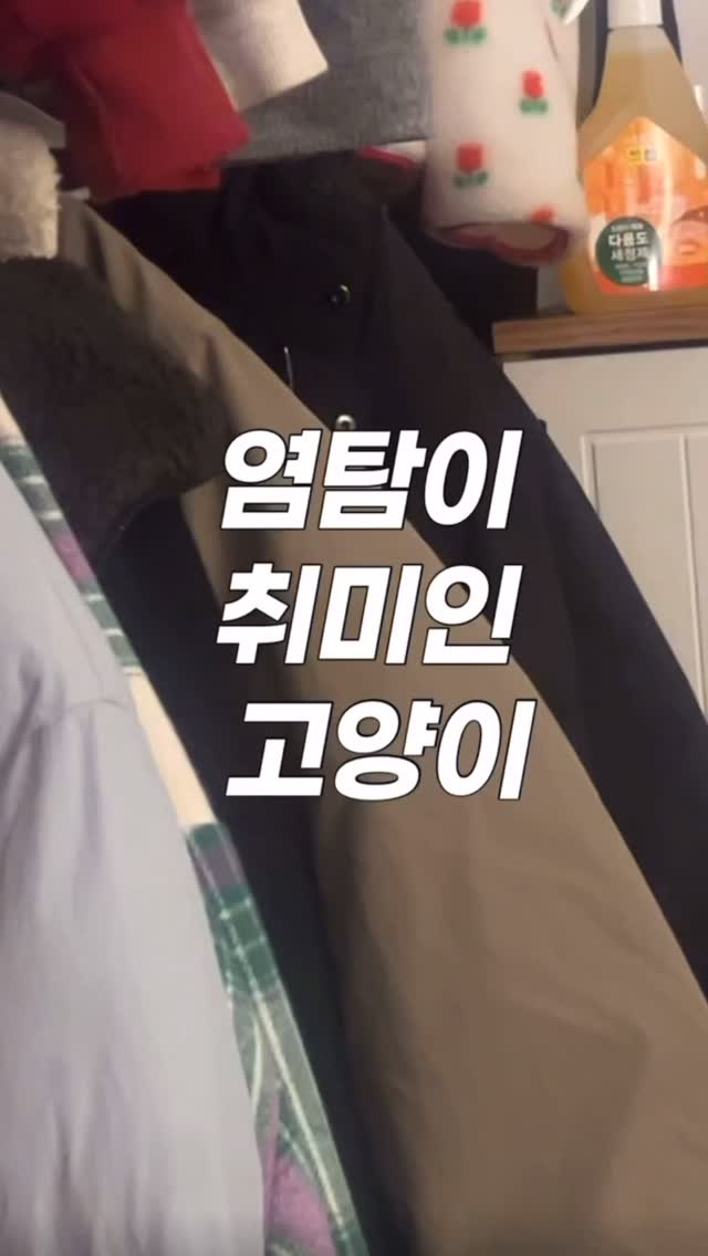 @kkamnyangkuma이 올린 갈치밥풀7냥이네 태그 게시물