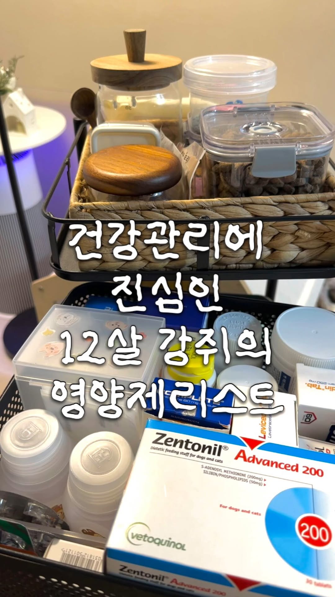 @diaryof__bb이 올린 CARESIDE 태그 게시물