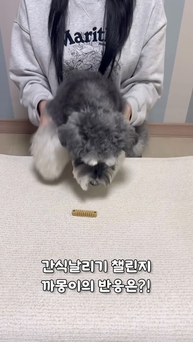 @hi__ggamong이 올린 뉴트리오 태그 게시물