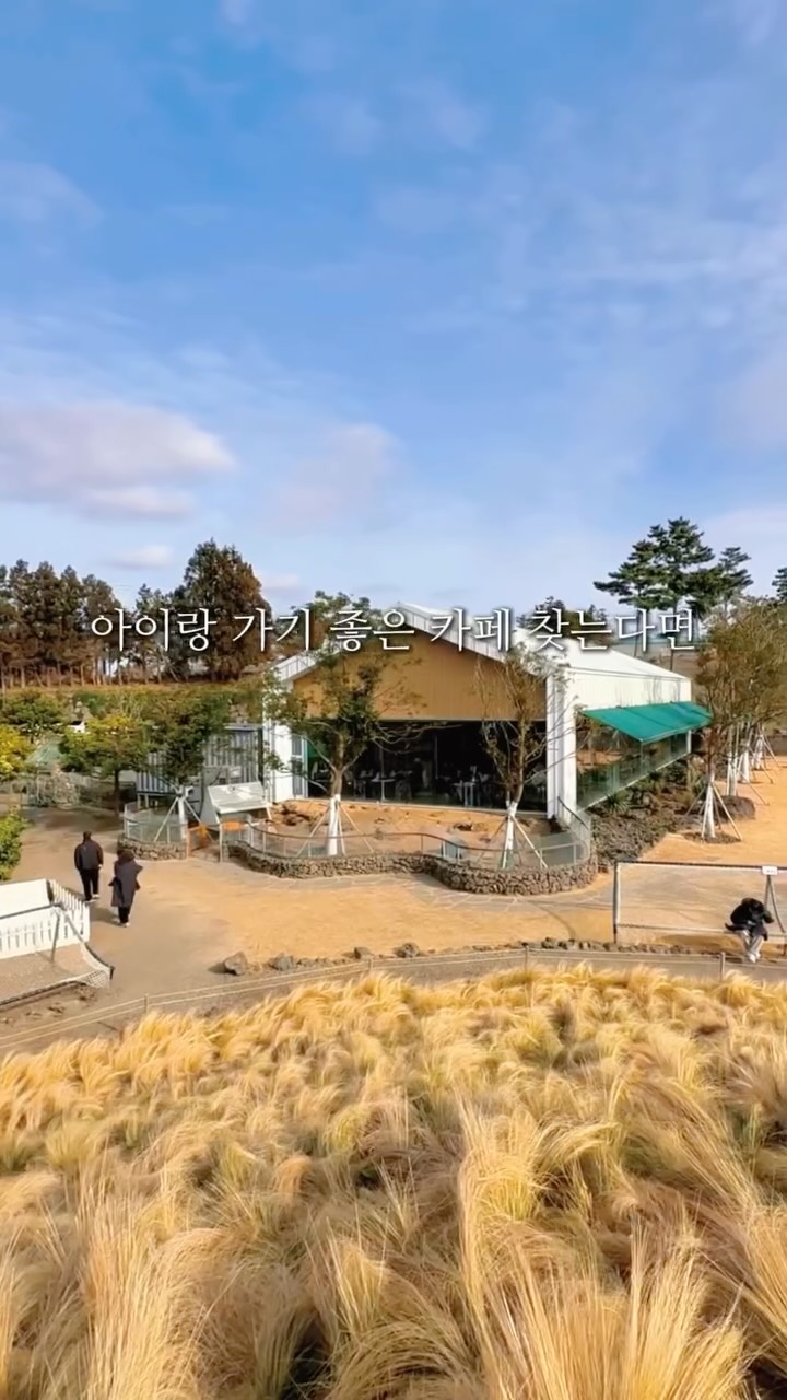 @jeju.okayy이 올린 플랜트827 태그 게시물