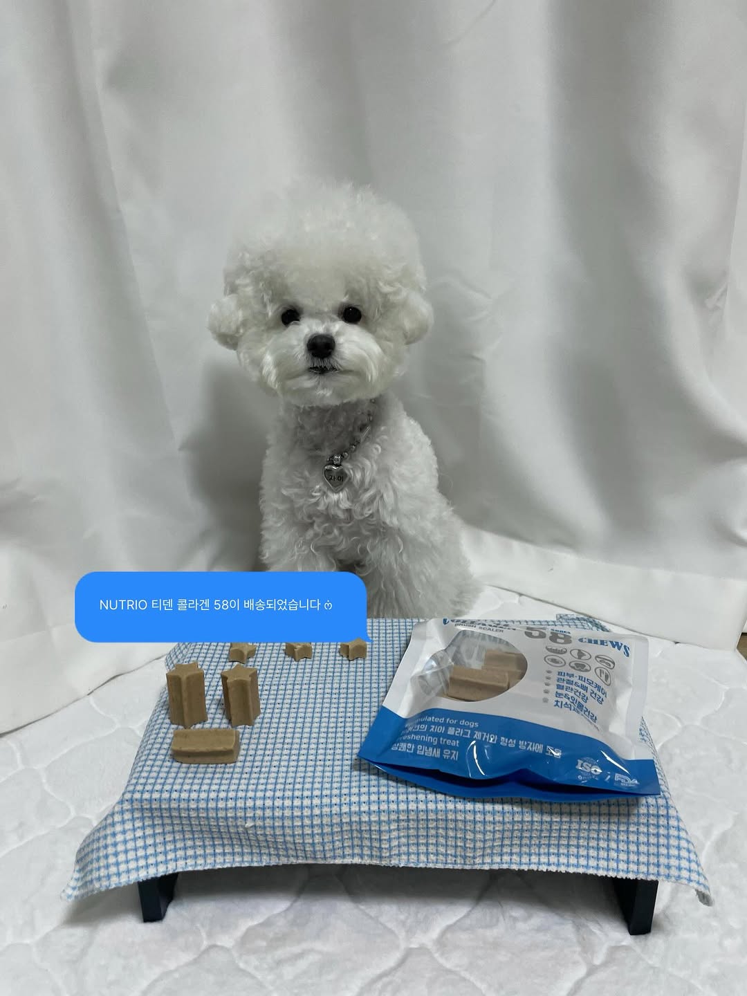 @xii.apt이 올린 뉴트리오 태그 게시물