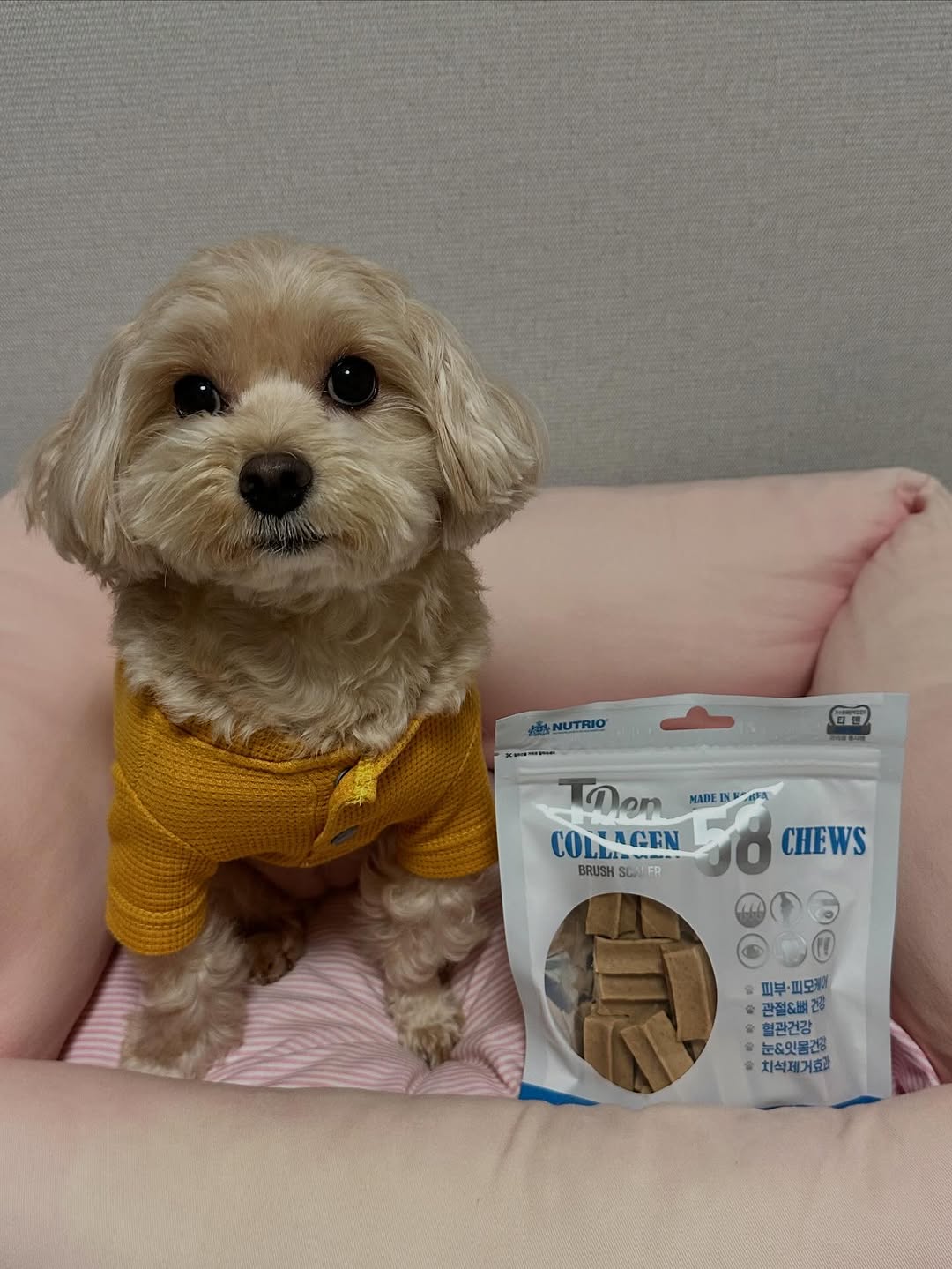 @roi_hari이 올린 뉴트리오 태그 게시물