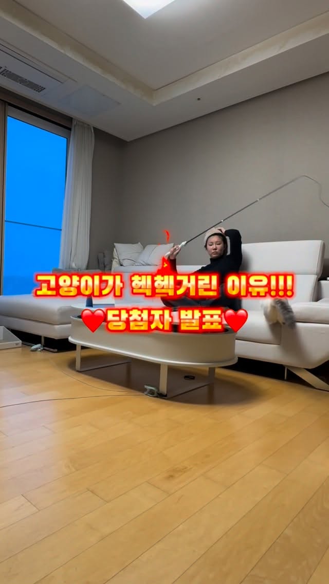 @okaydangdang이 올린 갈치밥풀7냥이네 태그 게시물