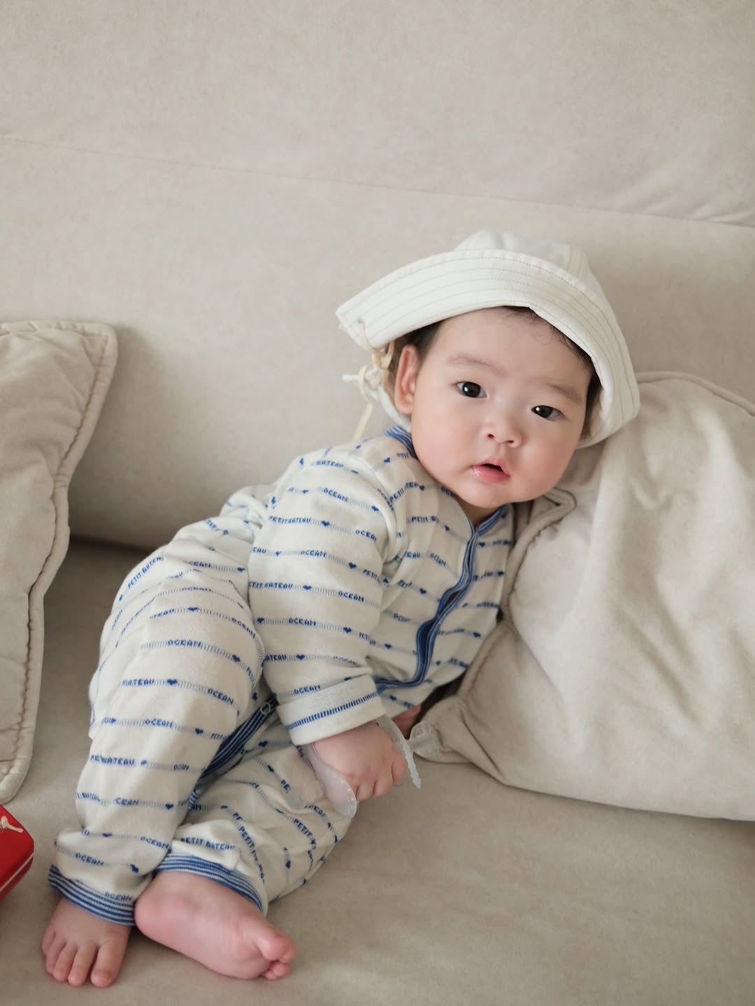 @coastal.babe이 올린 에르고베이비 태그 게시물