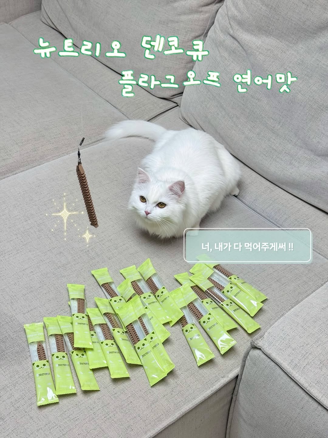 @nini.__.meow이 올린 뉴트리오 태그 게시물