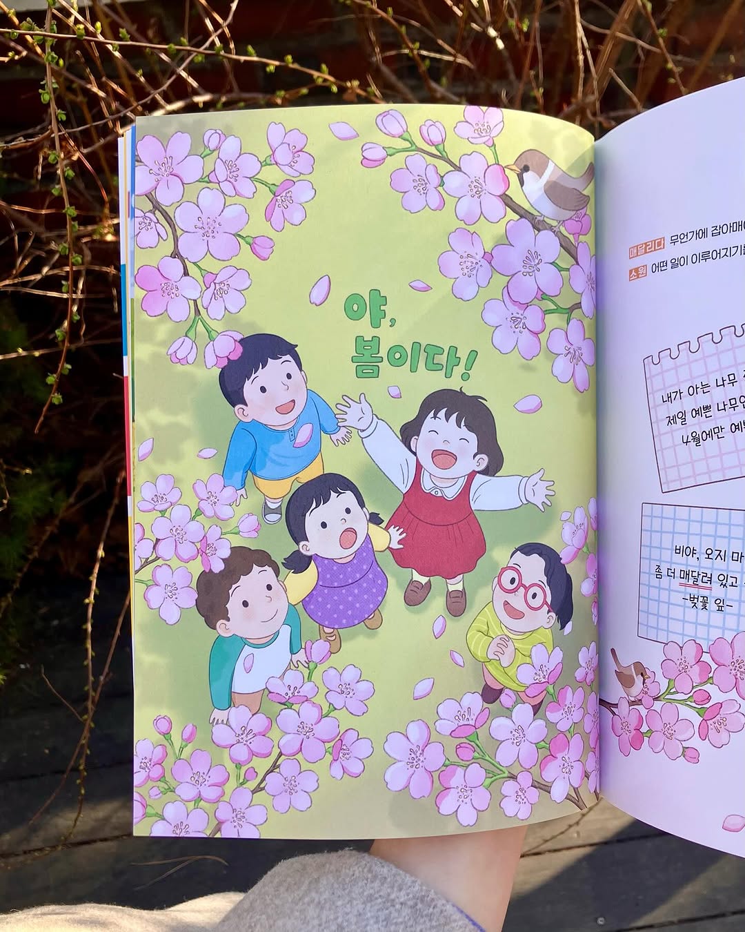 @inory.illust이 올린 작은코도마뱀 태그 게시물