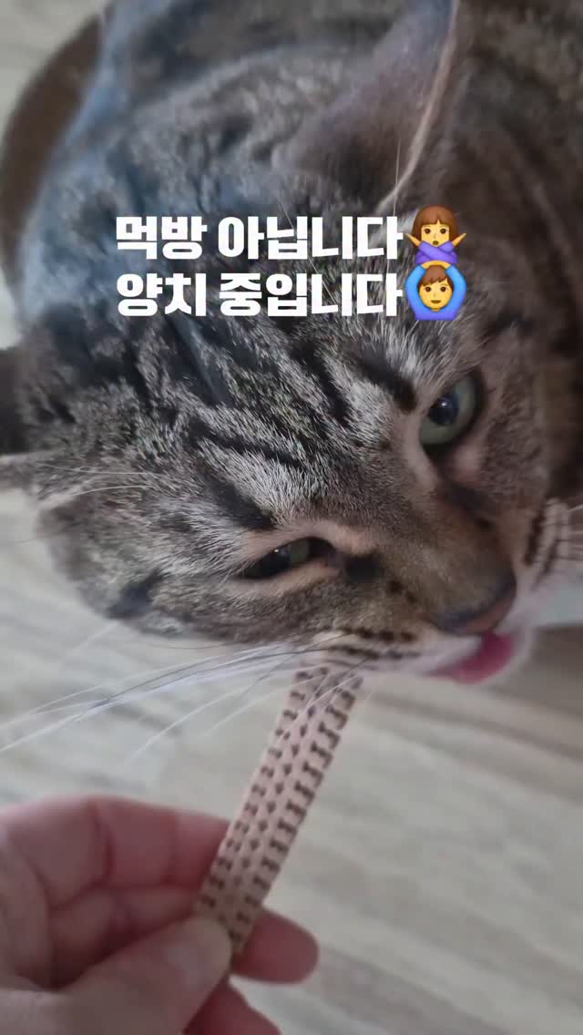 @green__camper이 올린 뉴트리오 태그 게시물