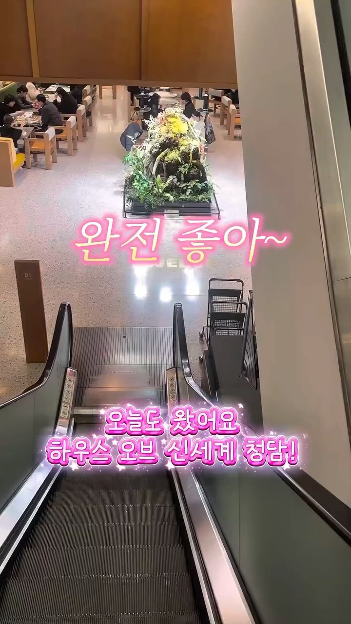 @mslovegrzzz이 올린 뷰이뷰이 태그 게시물
