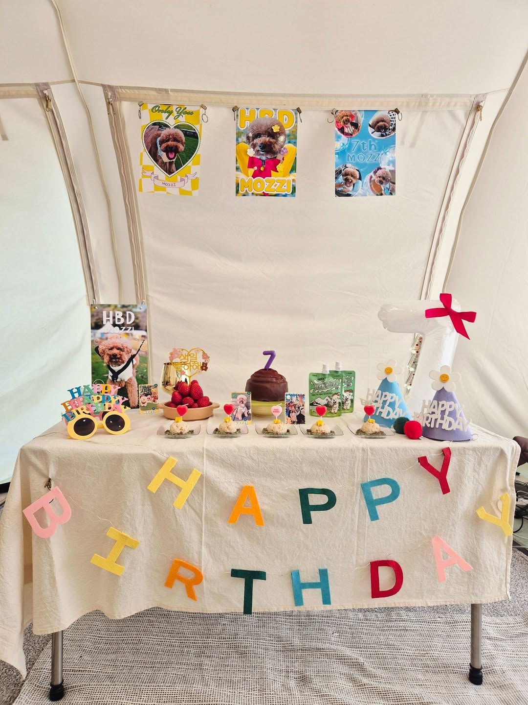 @mozzi__camper이 올린 꼬리의유혹 태그 게시물