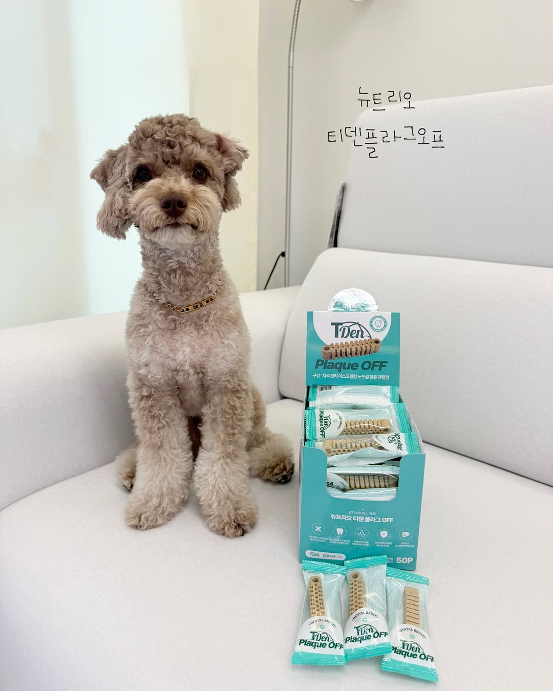 @fero_poo이 올린 뉴트리오 태그 게시물