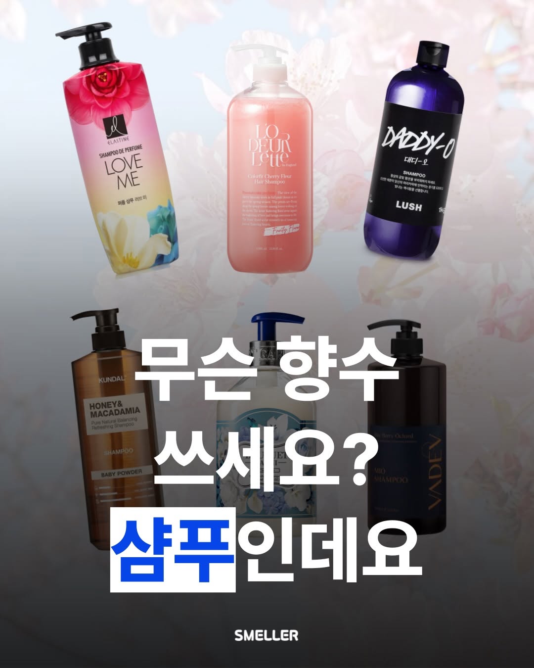 @smeller_news이 올린 엘라스틴 태그 게시물