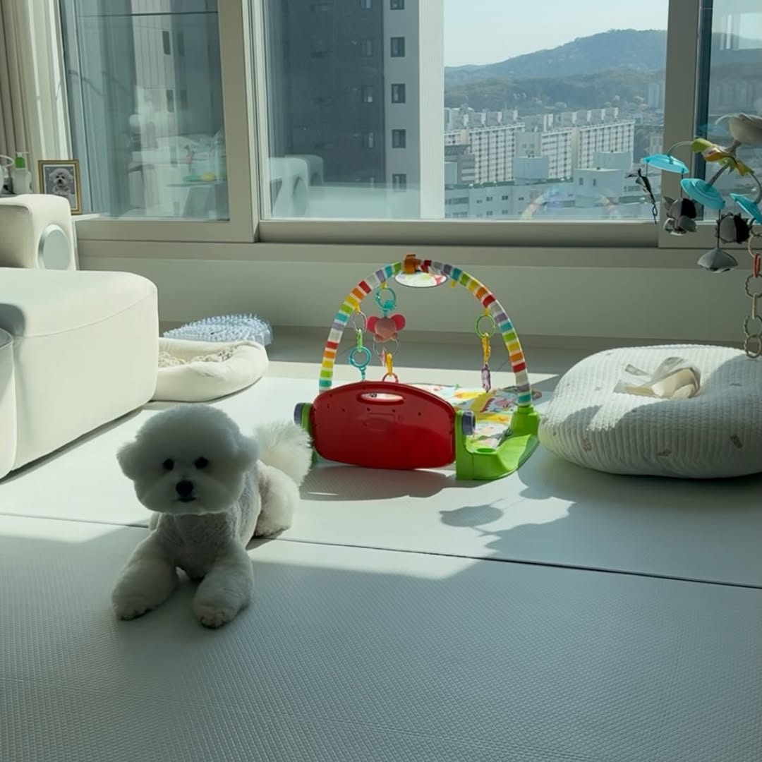 @_chichi_kk이 올린 비엔메이드 태그 게시물