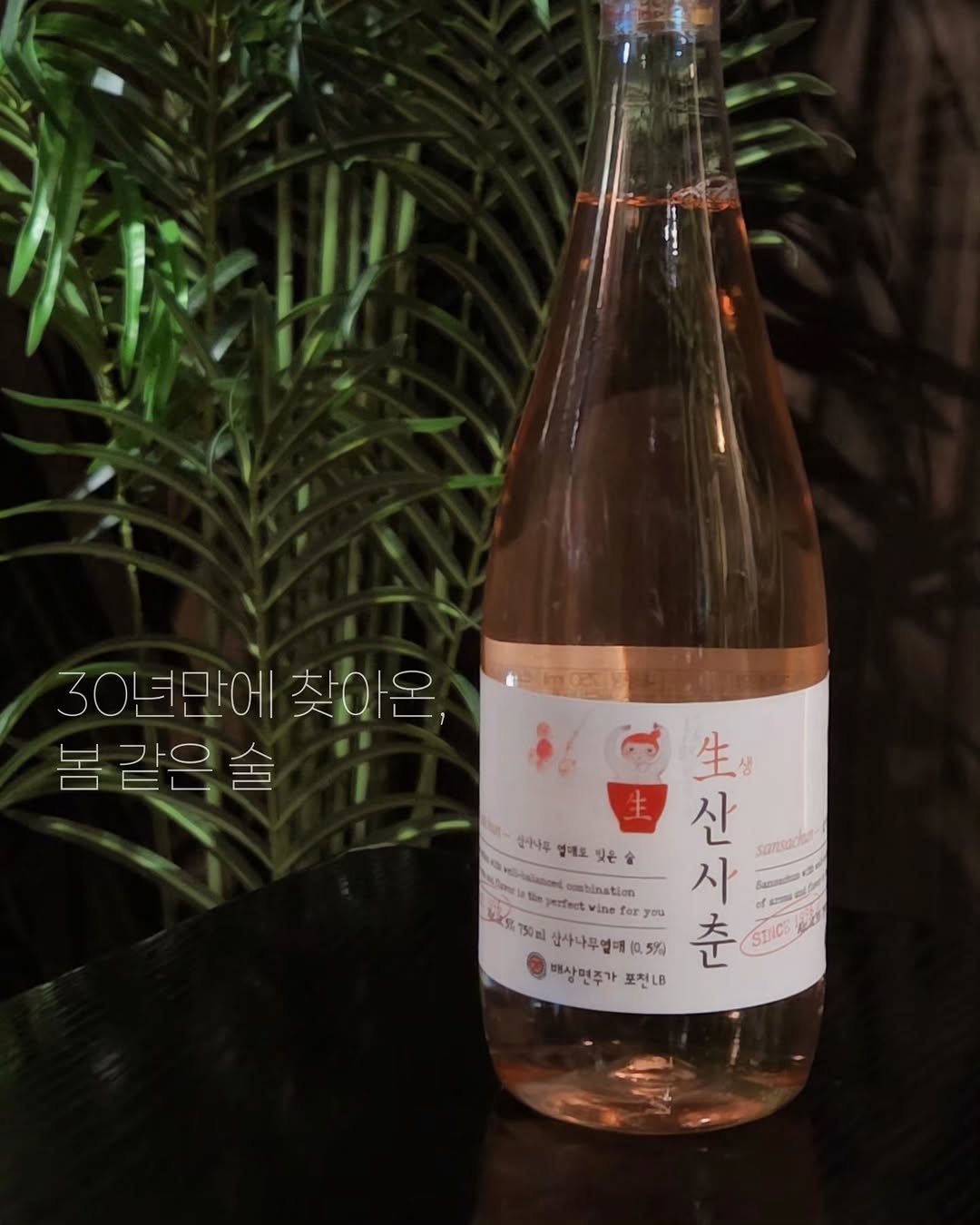 @jhhhh_o_o이 올린 전통주 술마켓 🍶 태그 게시물