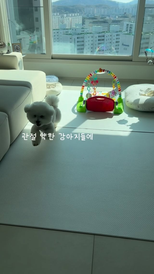 @_chichi_kk이 올린 비엔메이드 태그 게시물