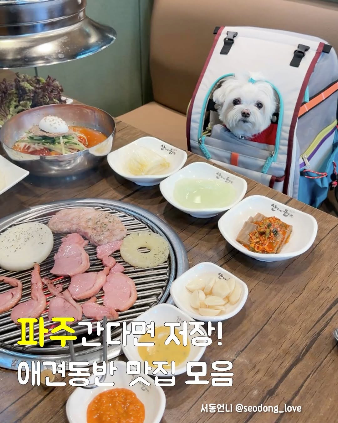 @seodong_love이 올린 동백온실 태그 게시물